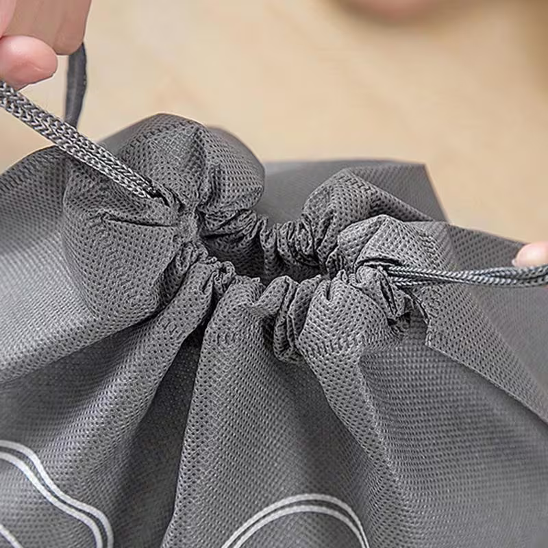 Hanging Shoe & Clothing Storage Bags